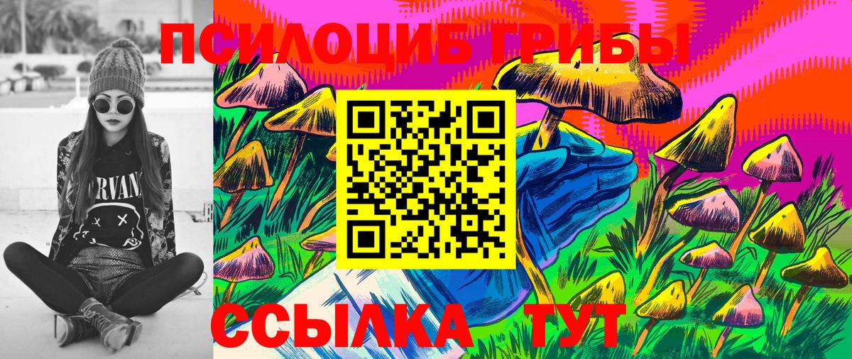 Псилоцибиновые грибы Magic Shrooms  наркотики  Щёлково  Псилоцибиновые грибы Psilocybe  Вход с VPN 
